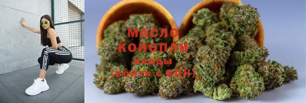 молекула духа Арсеньев