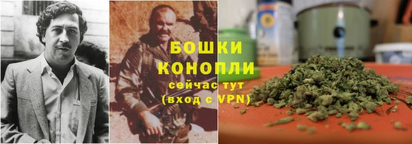 молекула духа Арсеньев