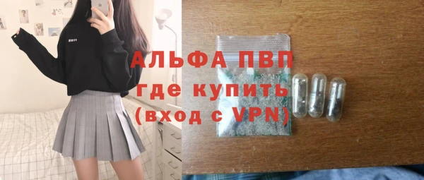 сатива Аркадак