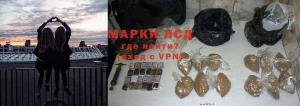 сатива Аркадак