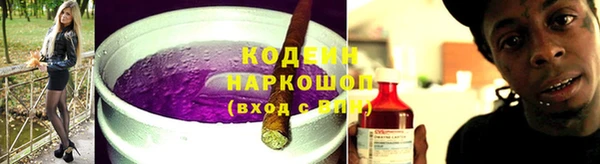 сатива Аркадак