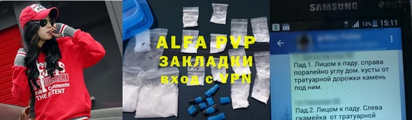 молекула духа Арсеньев