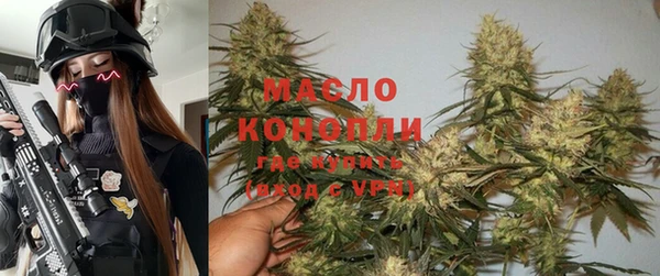 молекула духа Арсеньев