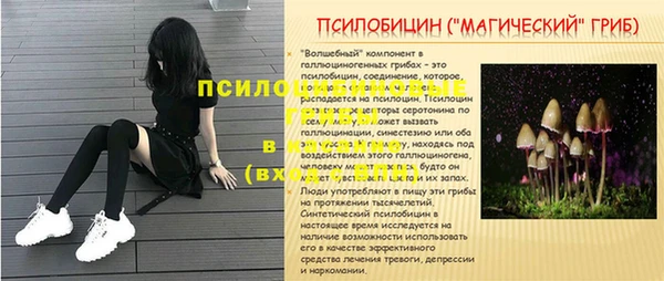 сатива Аркадак