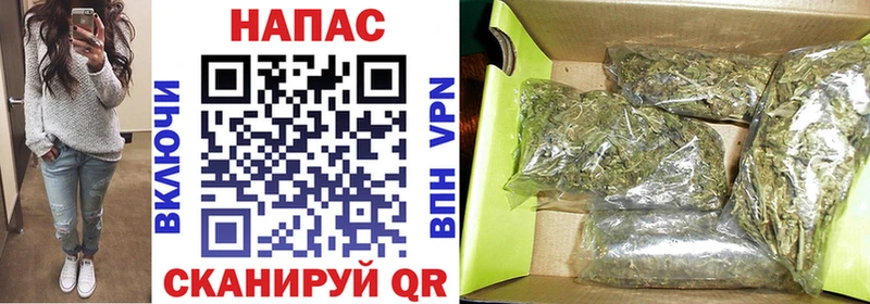 Шишки марихуана индика  Купить где  Невель 